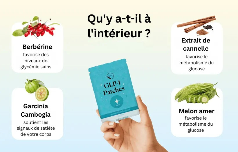 (FR) GLP-1 Patch Stop Craving